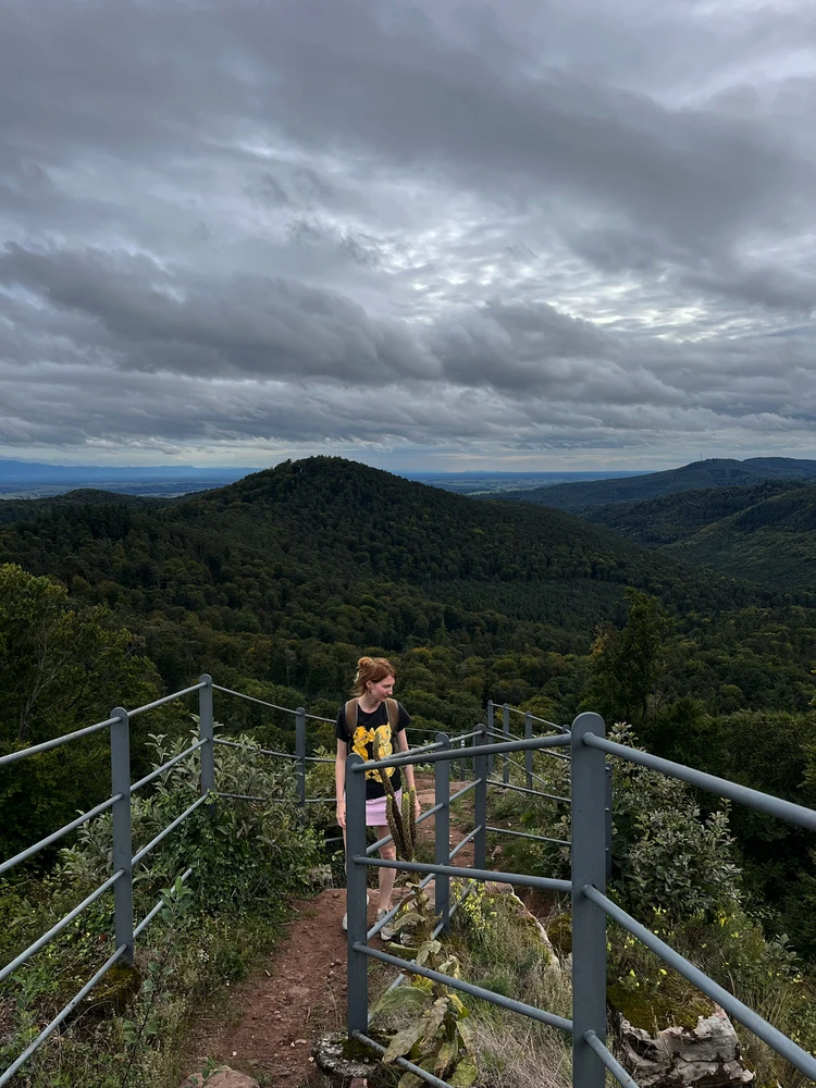 Фото загрузил Daria