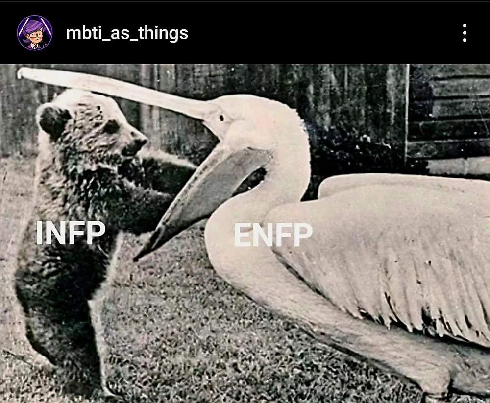 GIF caricata da Federico