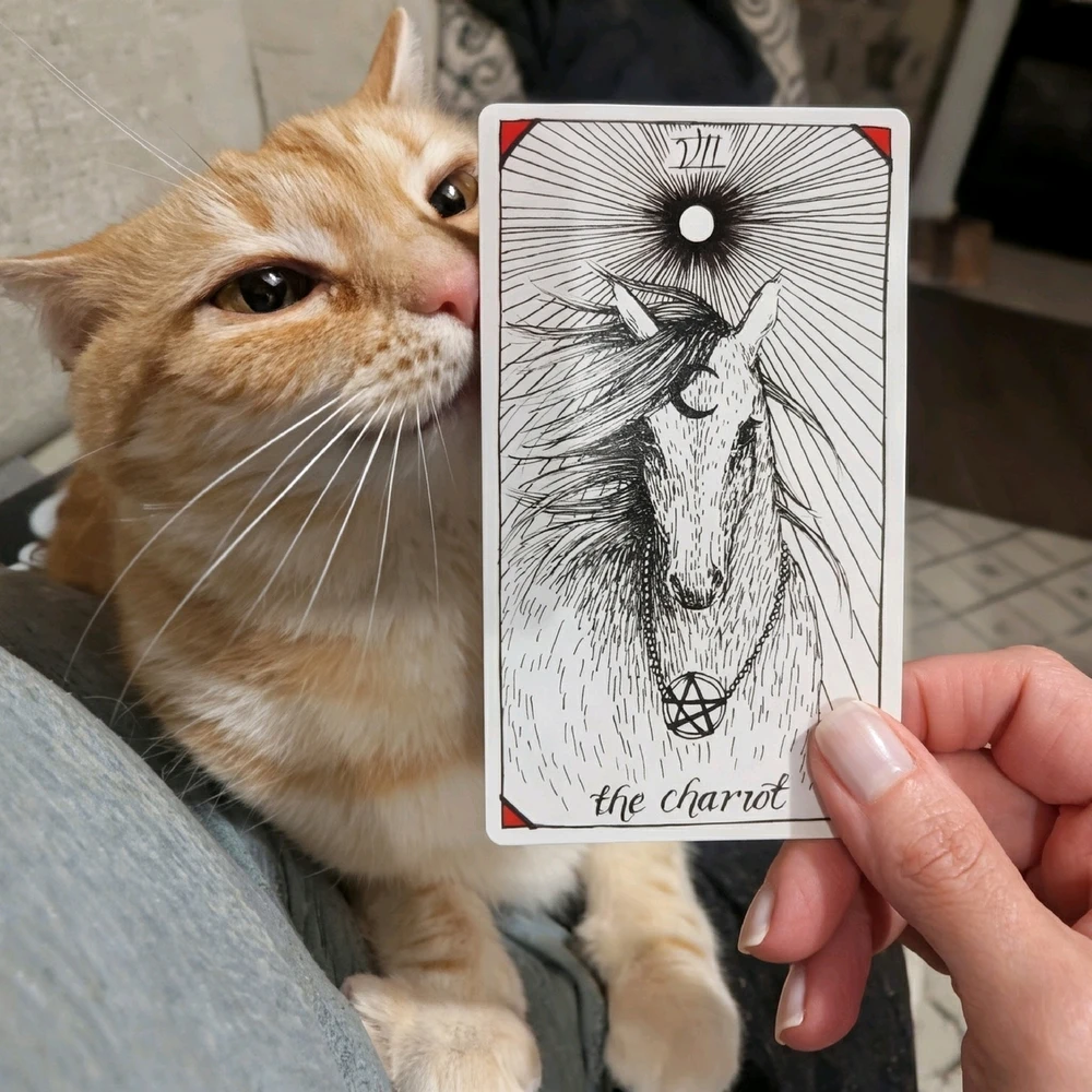 Image uploaded by Melissa