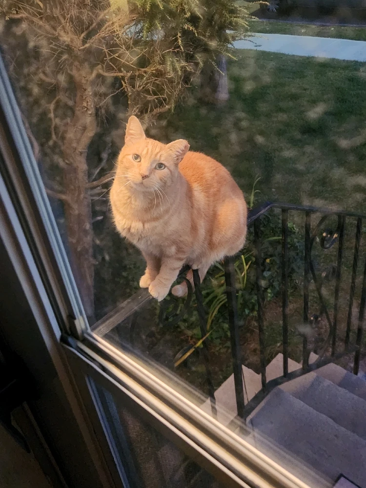 GIF uploaded by Brandon