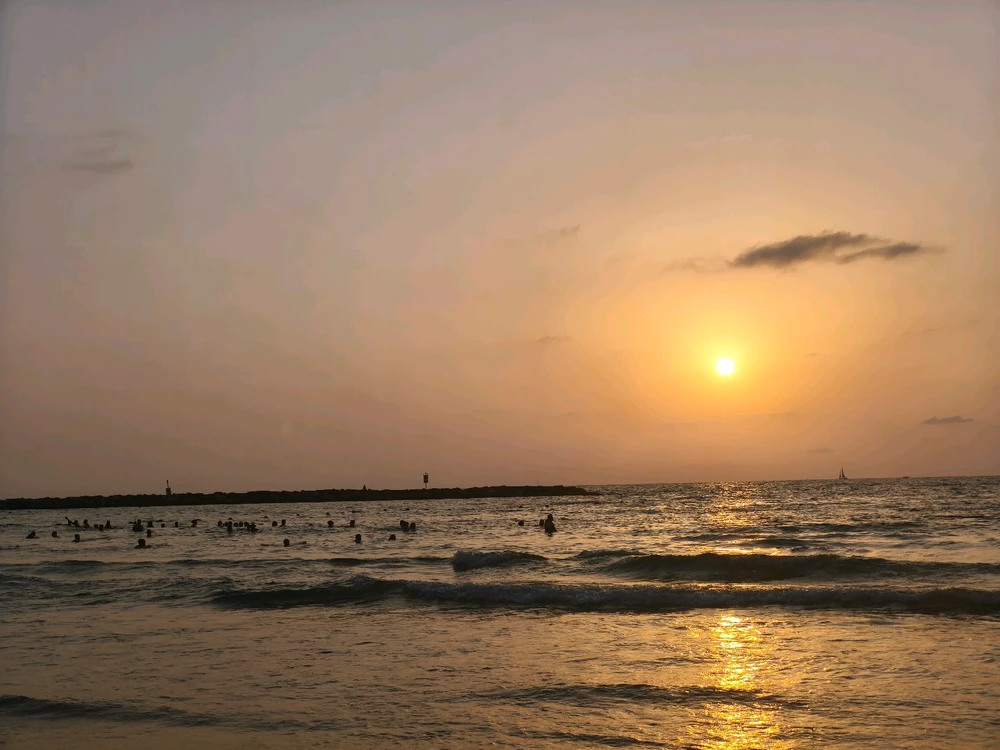 GIF uploaded by חן