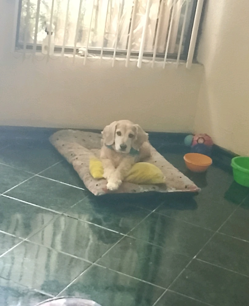 GIF subido por Uriel