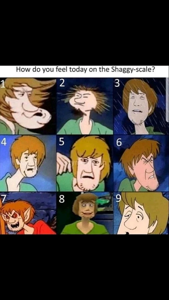 What will it be? Take your pick.