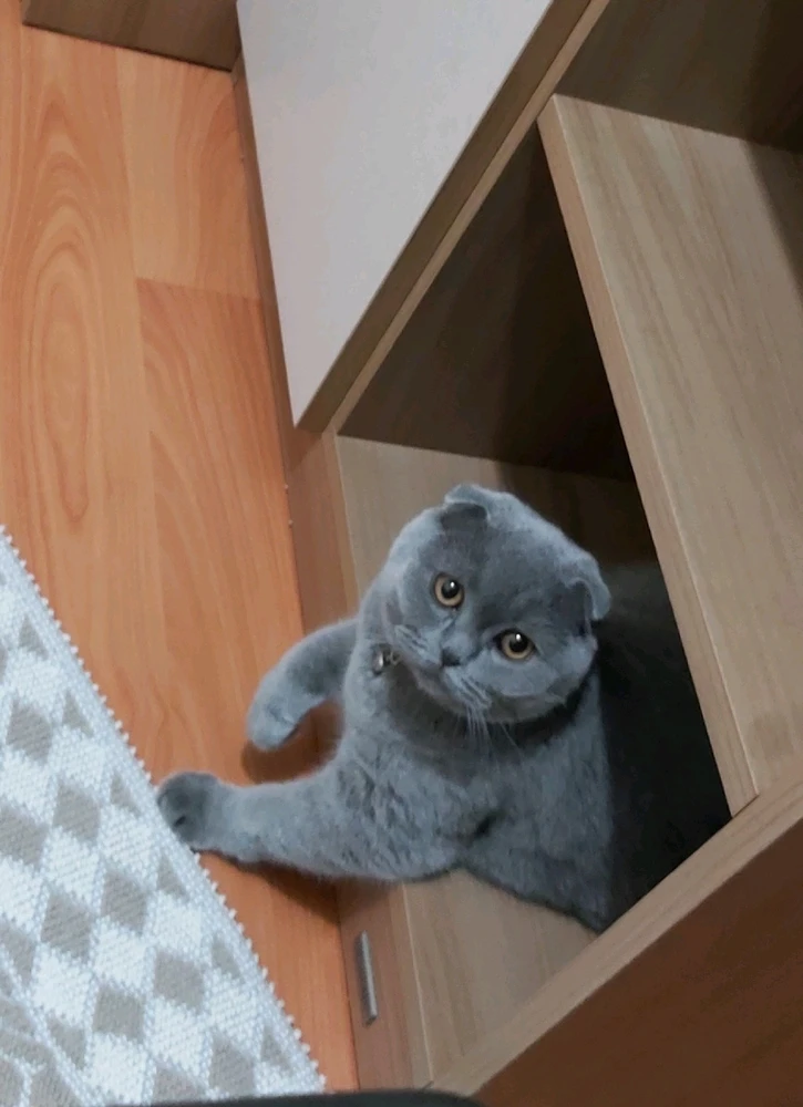 Hakan tarafından yüklenen GIF