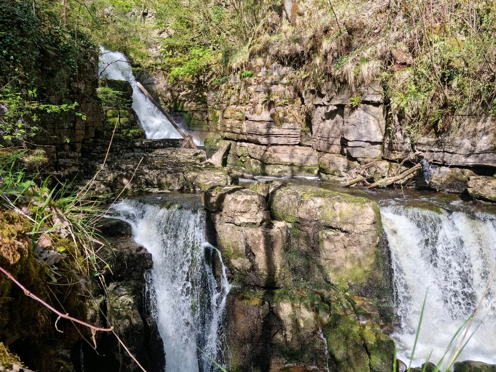 Image uploaded by Josh