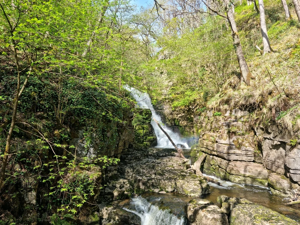 Image uploaded by Josh