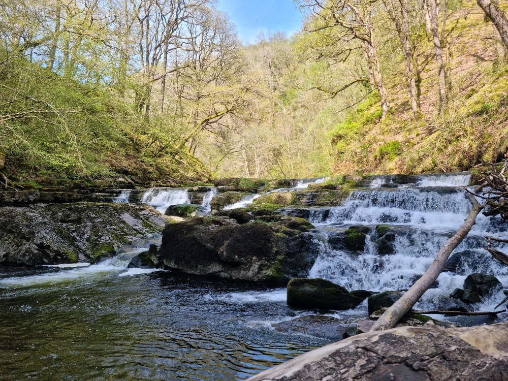 Image uploaded by Josh