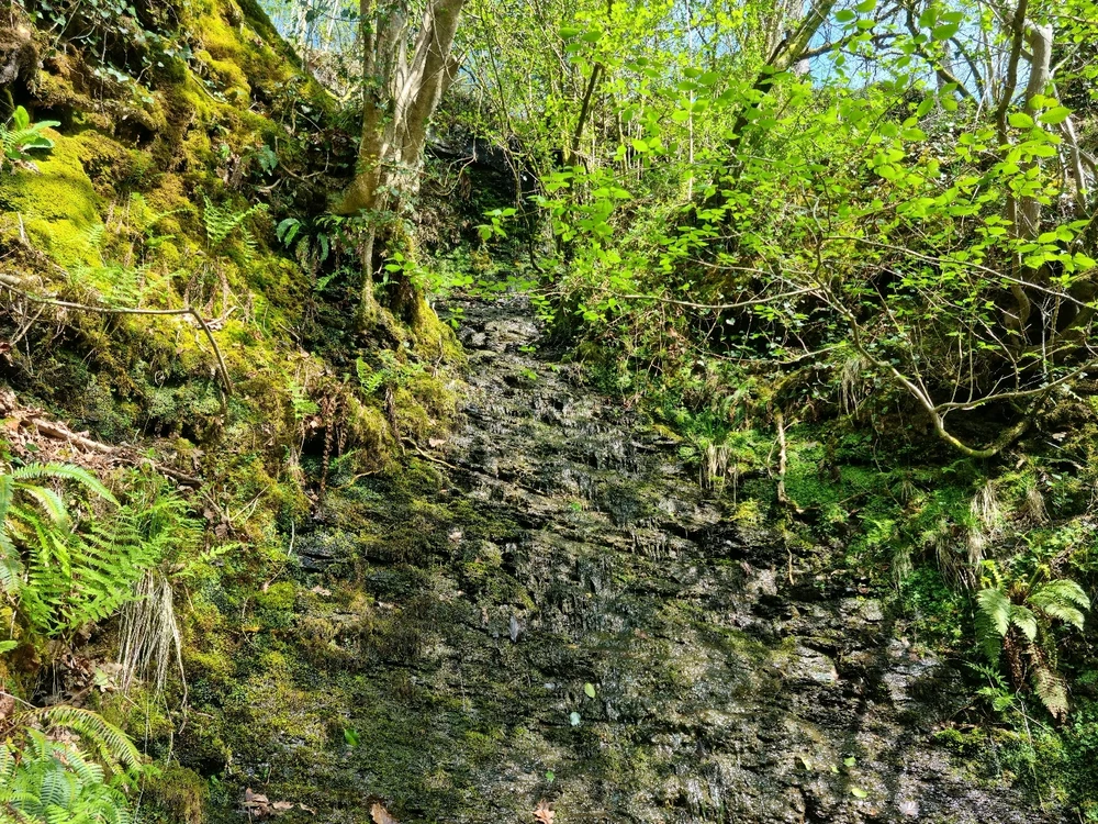 Image uploaded by Josh