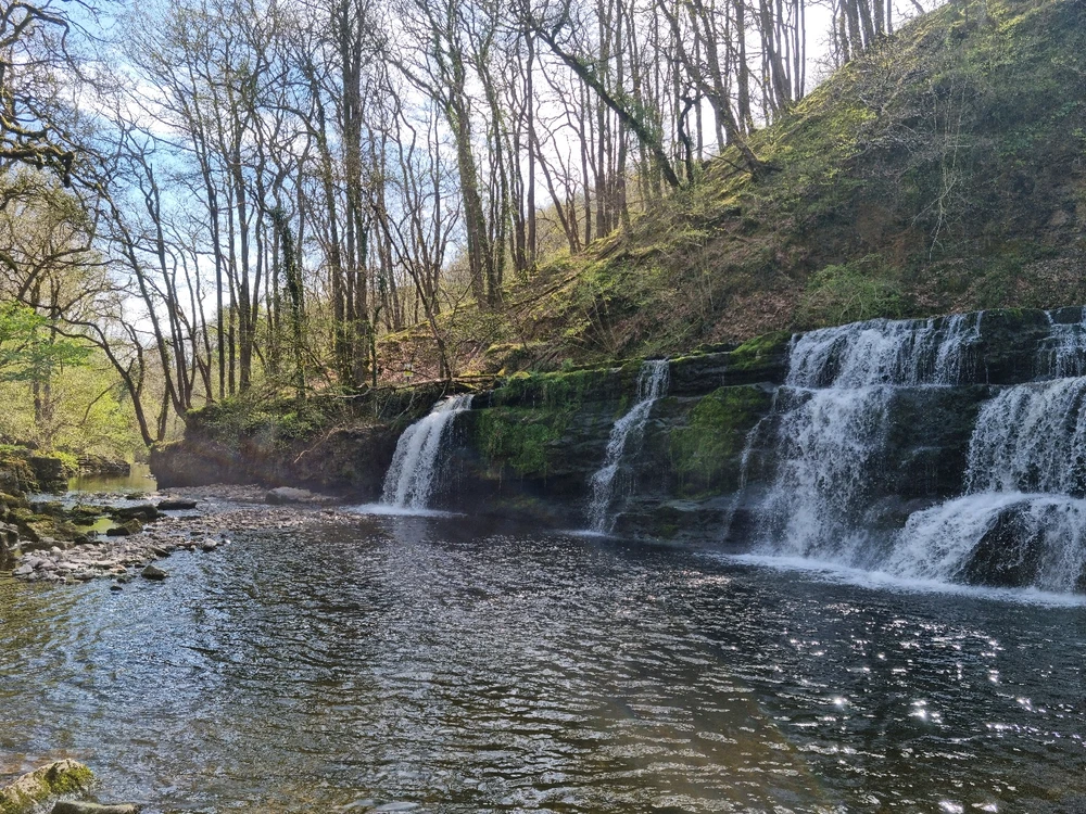 Image uploaded by Josh