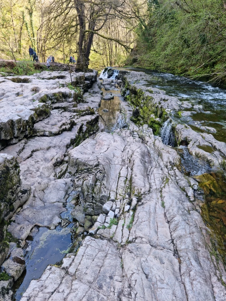 Image uploaded by Josh