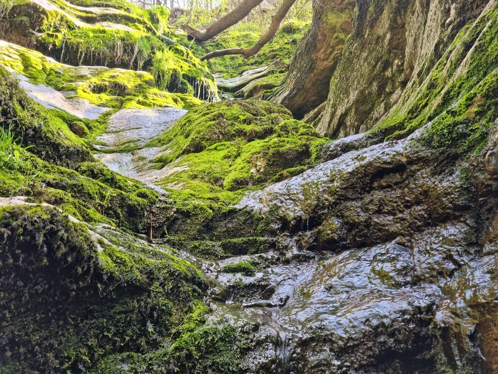 Image uploaded by Josh