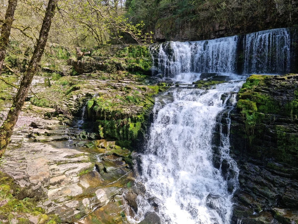 Image uploaded by Josh