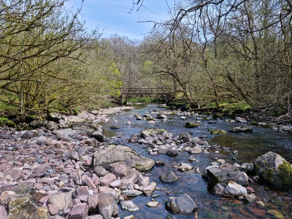 Image uploaded by Josh