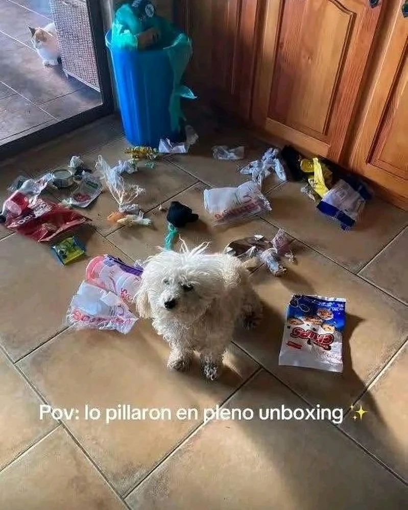 GIF subido por ❤ Sophia aka Mango Mami ❤️