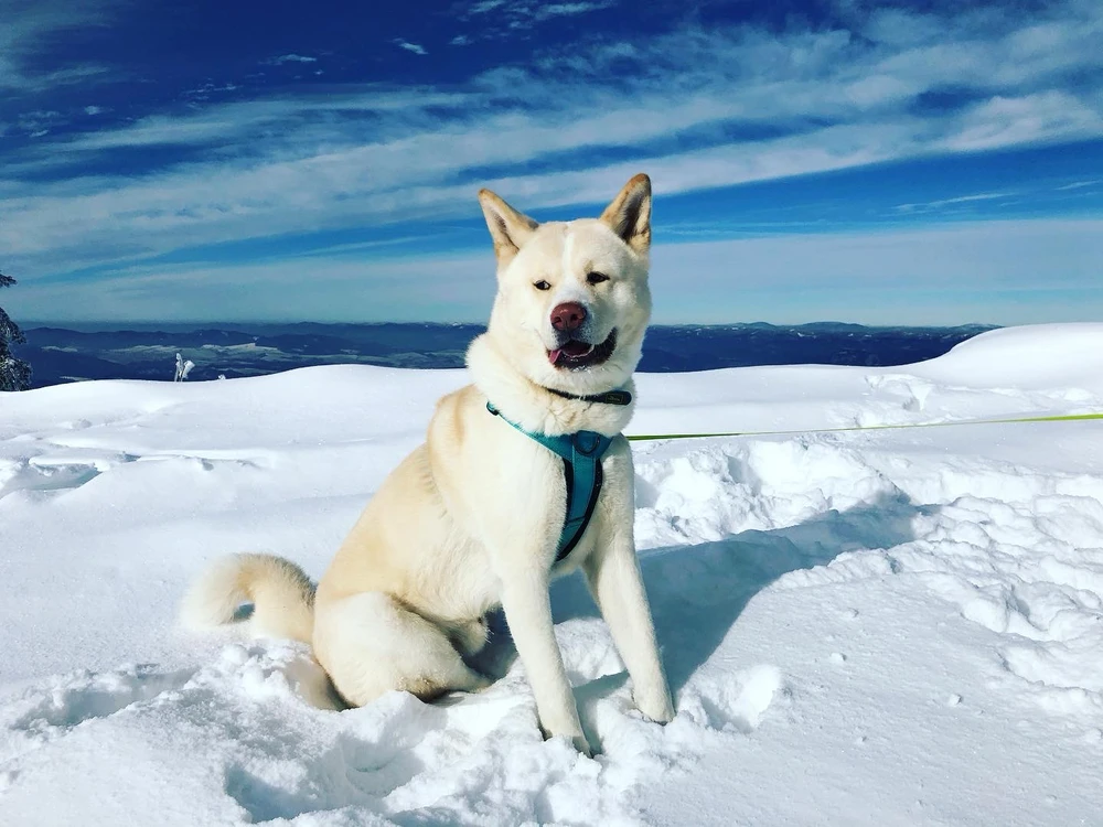 GIF uploaded by Monika