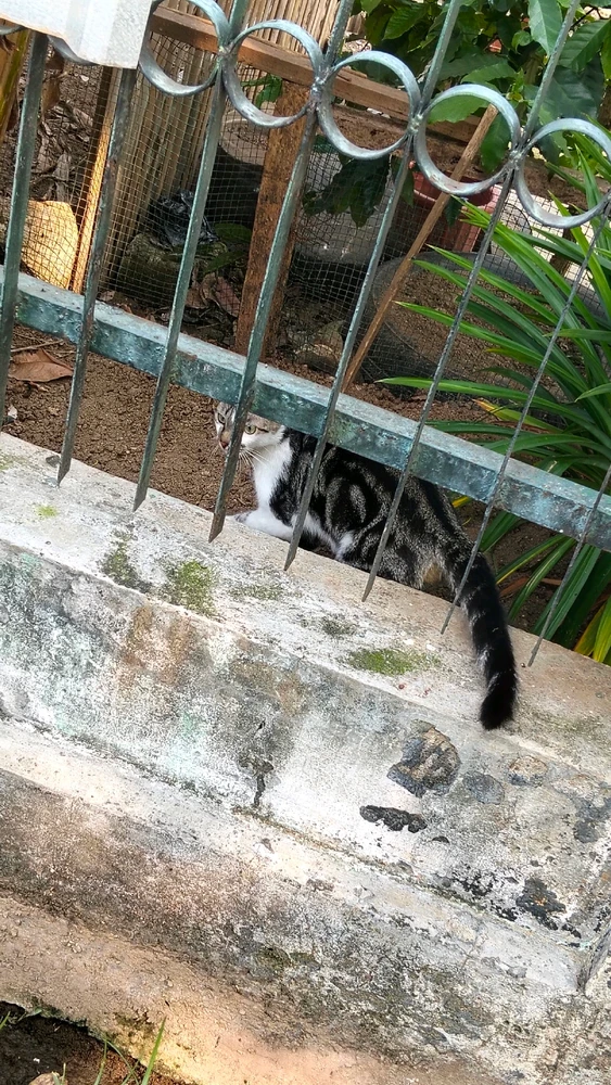 Gambar diunggah oleh Tsanya