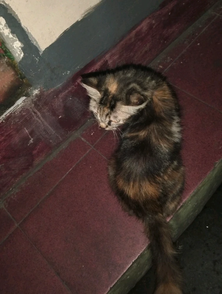 Gambar diunggah oleh Tsanya