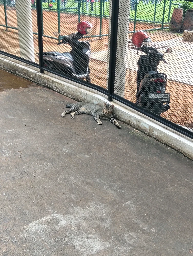 Gambar diunggah oleh Tsanya