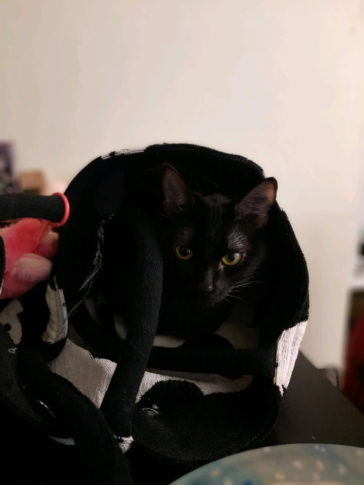 Always check your bag before leaving