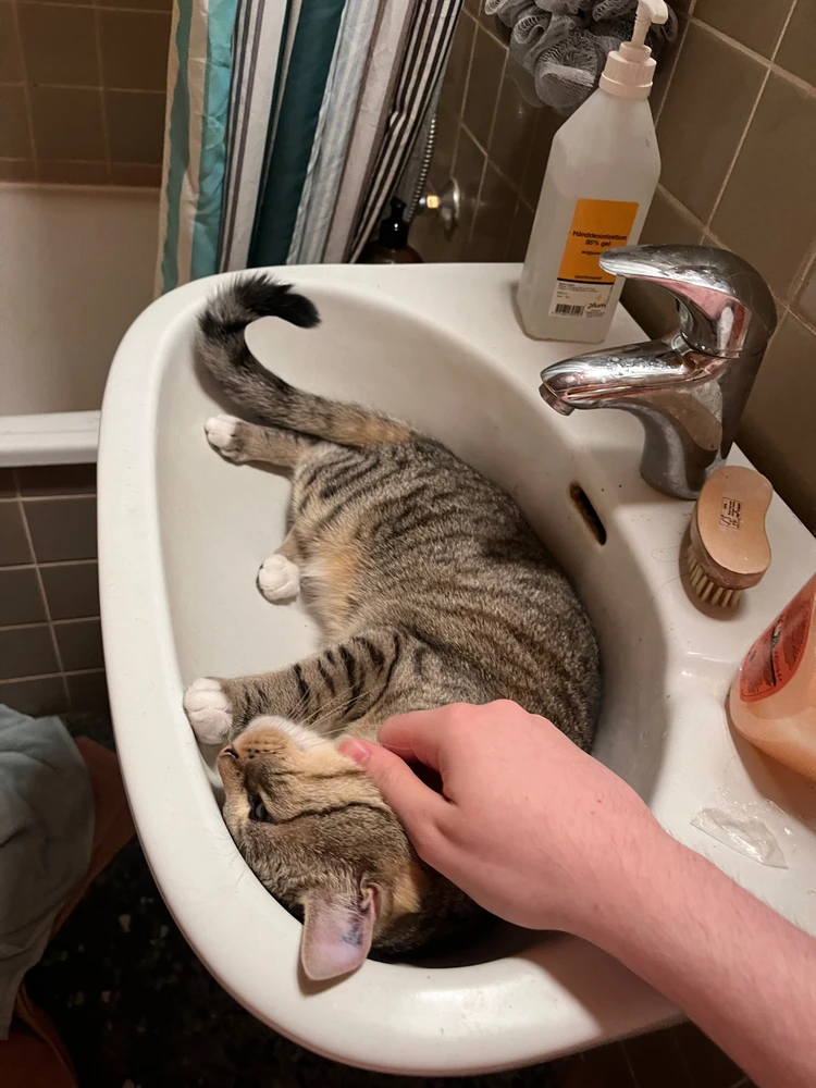 Billede uploadet af Sofie