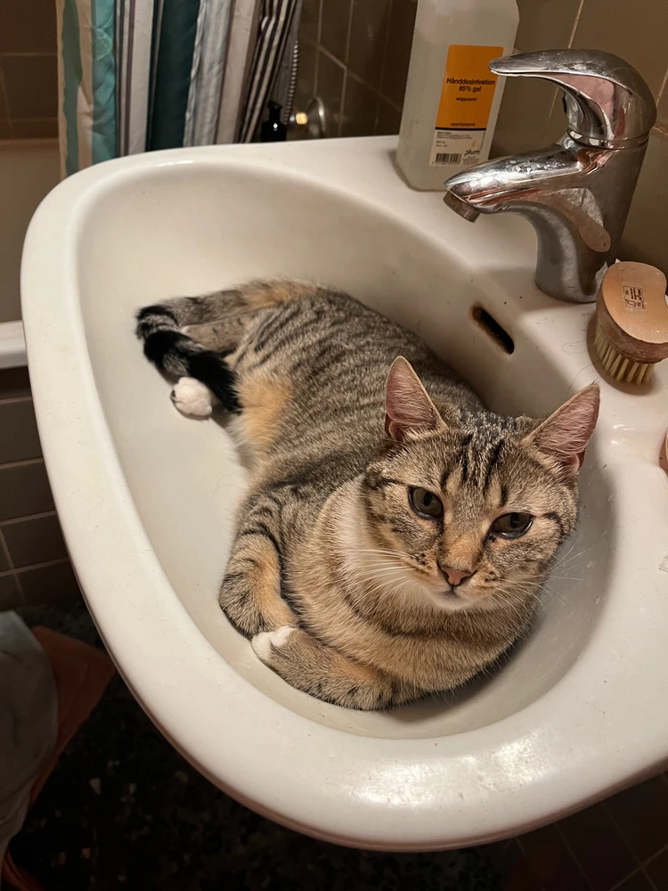 Billede uploadet af Sofie