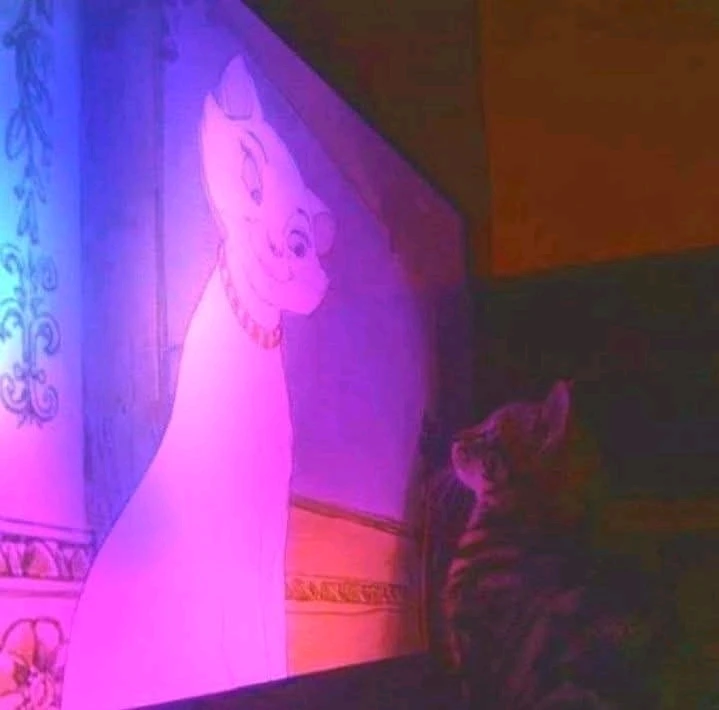 GIF caricata da Antonio