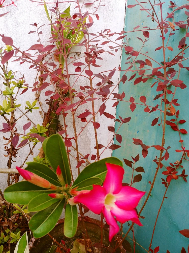 GIF uploaded by Jann