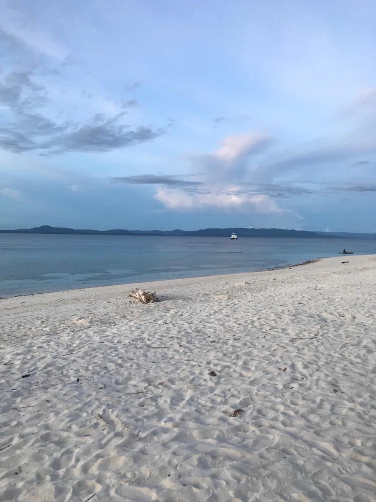 Gi-upload ni Thea ang hulagway