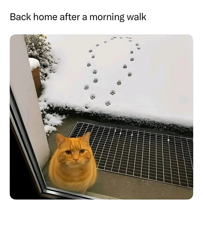 GIF uploaded by Kelcey