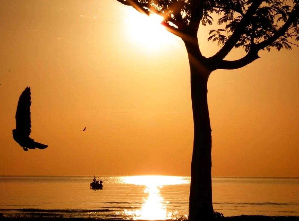 R.Y.alp tarafından yüklenen GIF