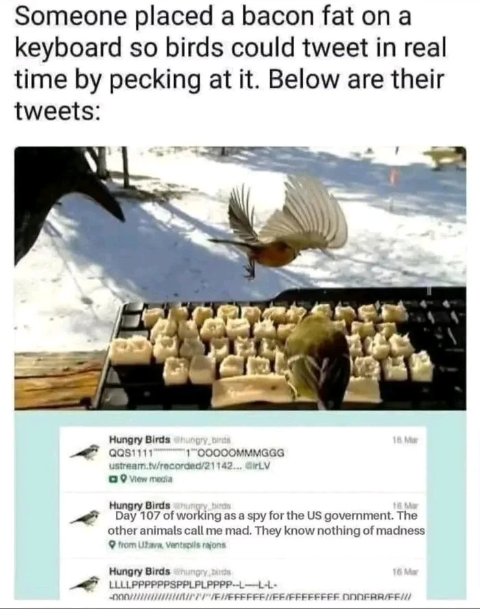 Obrázek nahrál Martin