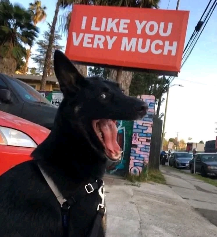 Obrázek nahrál Martin