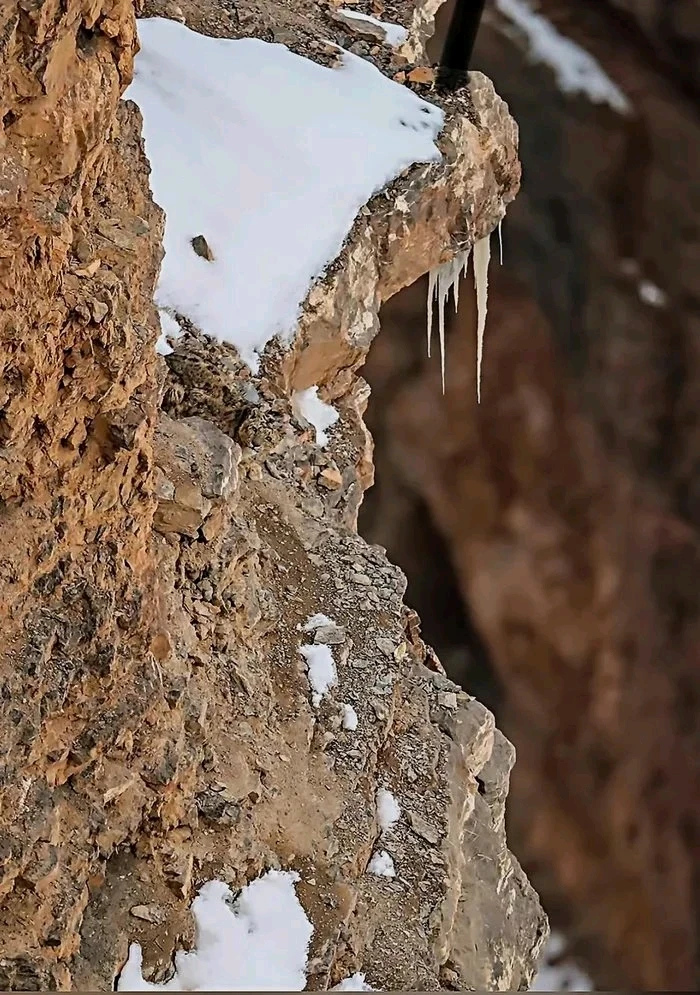 GIF uploaded by Andreas Sauer