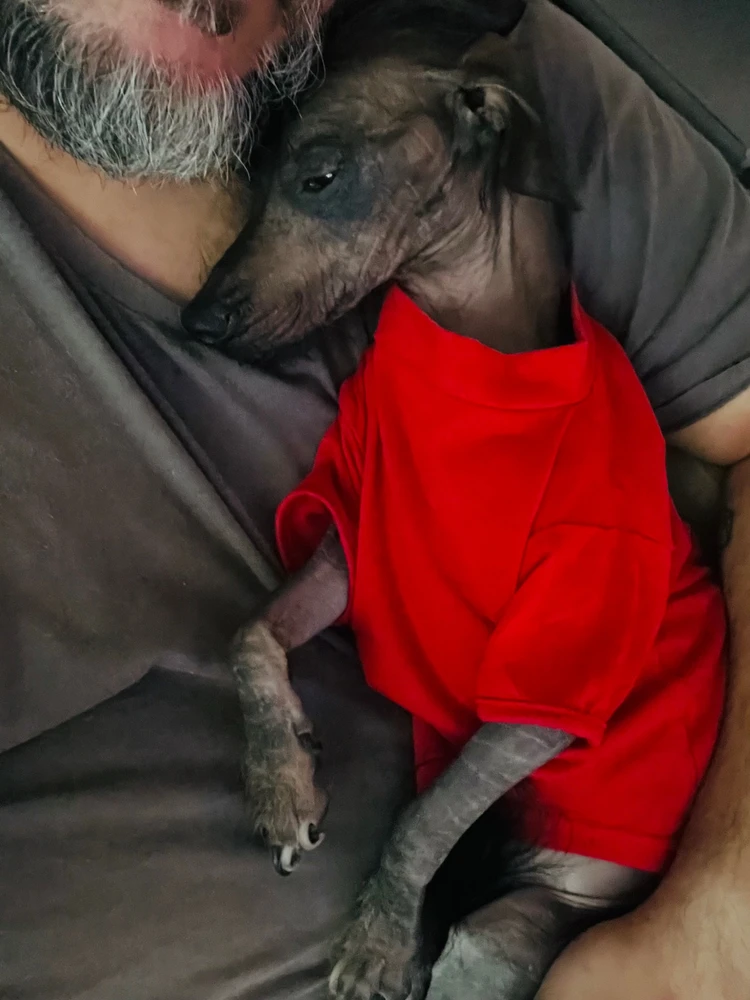 GIF uploaded by Nick