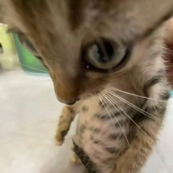 GIF uploaded by Sven