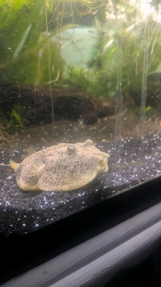 Image uploaded by Callie