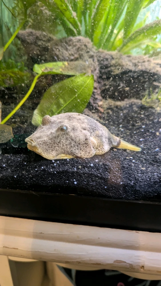 Image uploaded by Callie