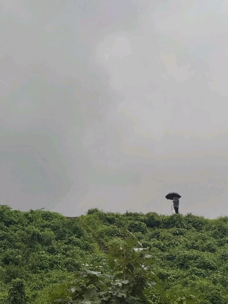 Image uploaded by Kushal