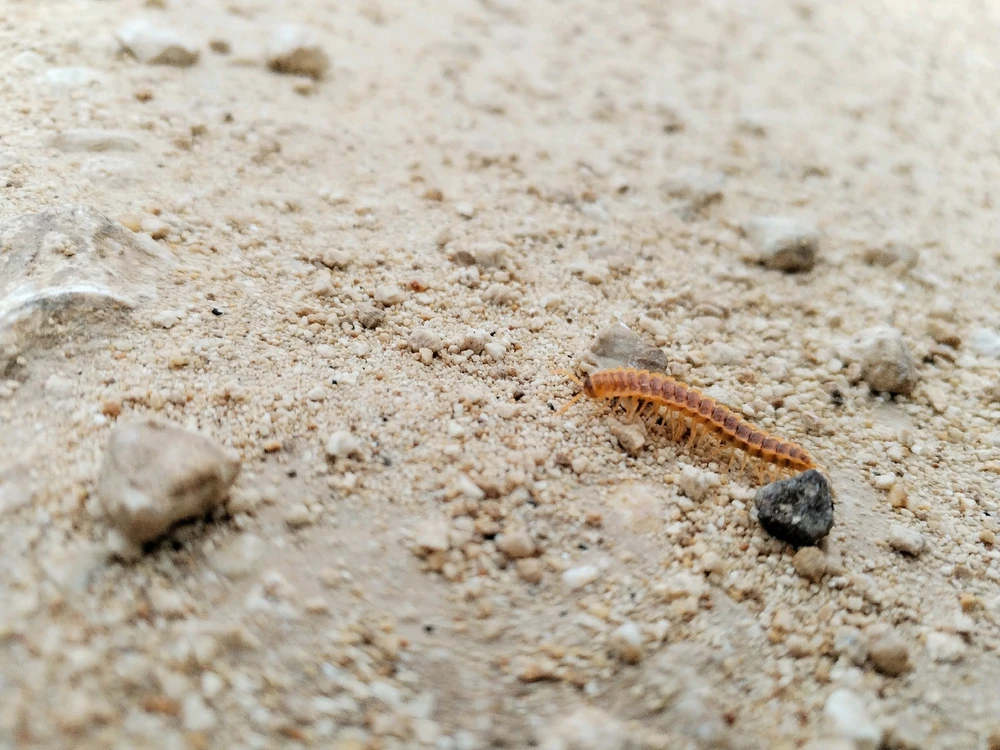 Imagen subida por Jonathan