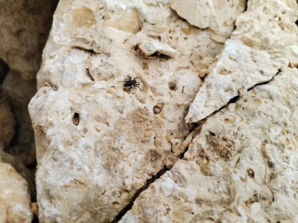 Imagen subida por Jonathan