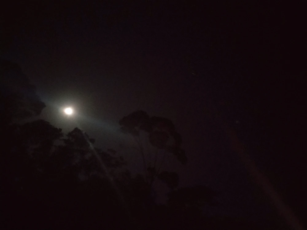 Imagen subida por Jonathan