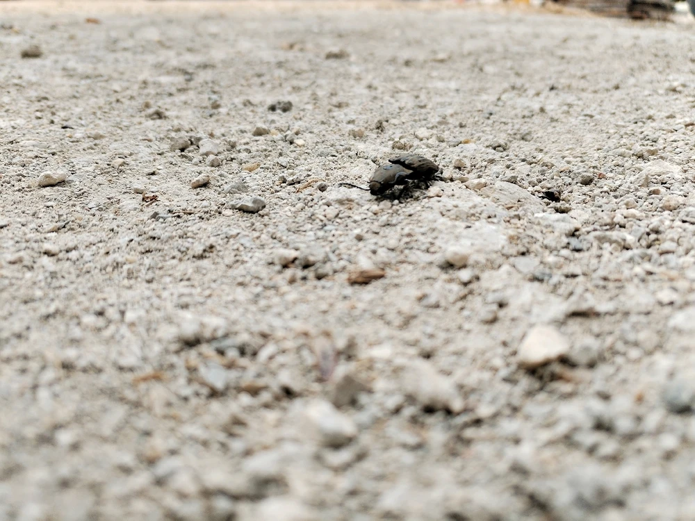 Imagen subida por Jonathan