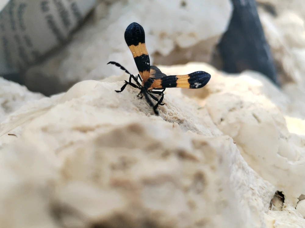 Imagen subida por Jonathan