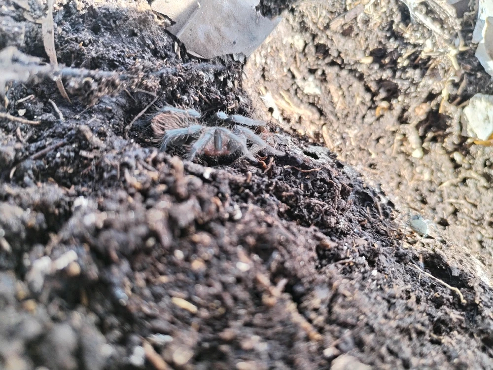 Imagen subida por Jonathan