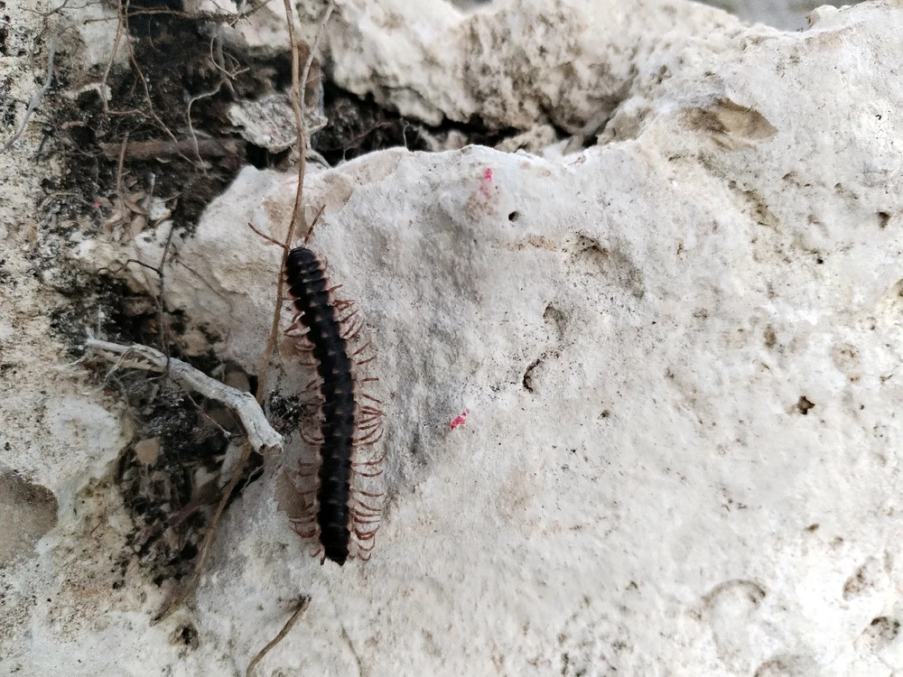 Imagen subida por Jonathan