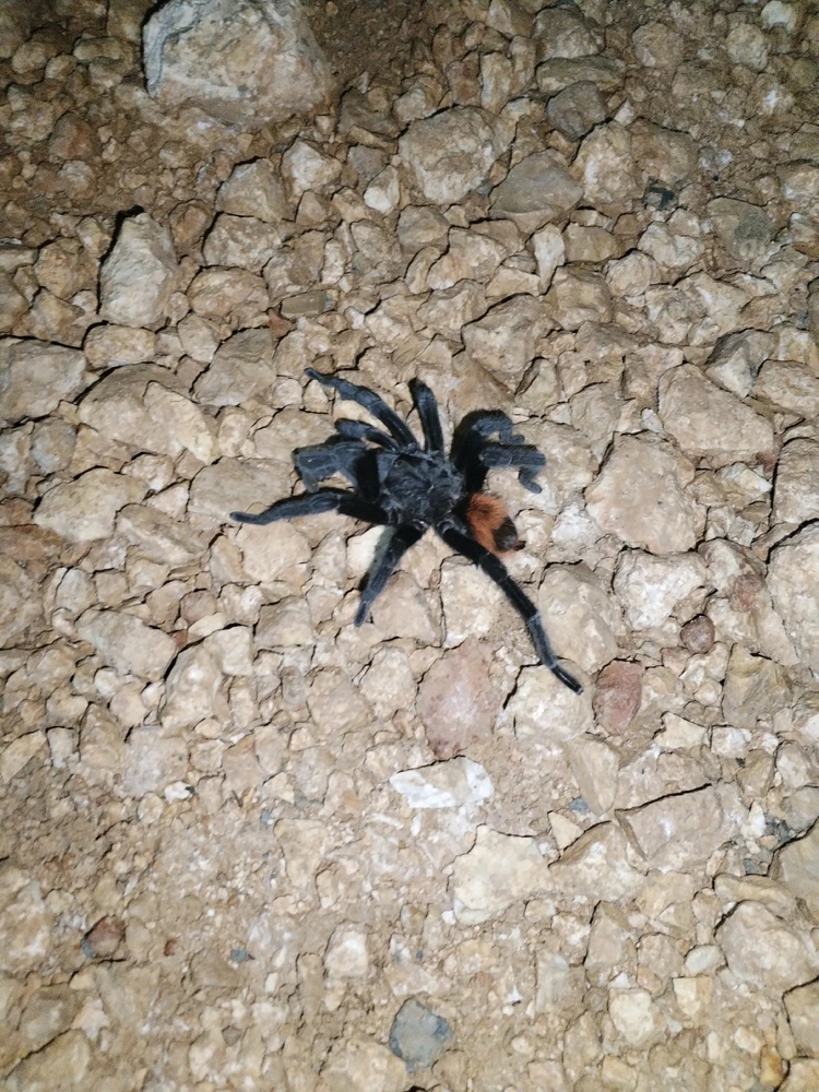 Imagen subida por Jonathan