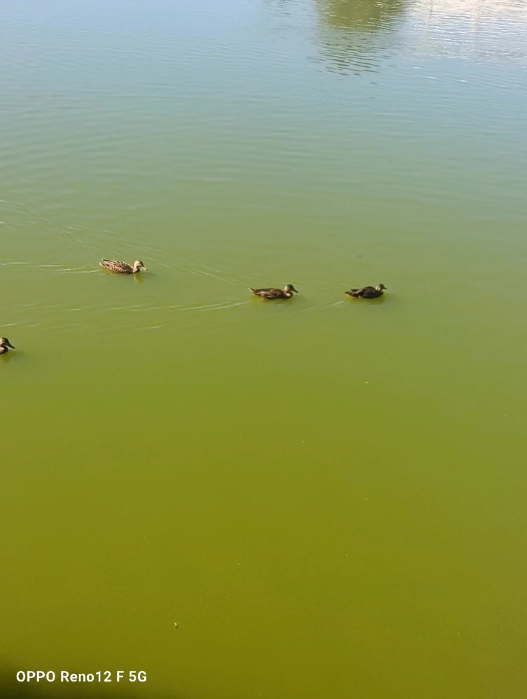 Imagen subida por Jesús