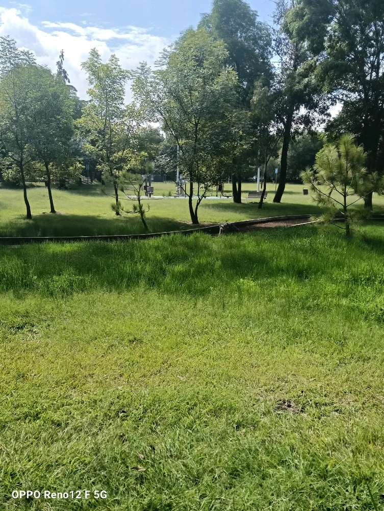 Imagen subida por Jesús