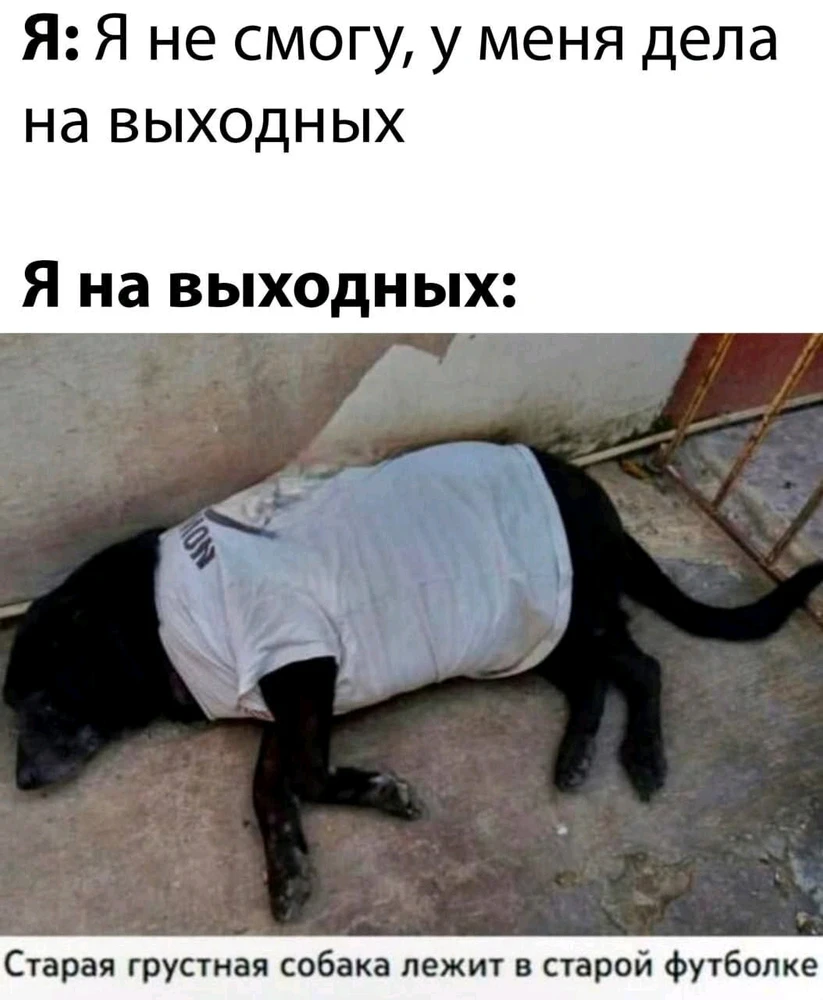 GIF загрузил Ваня