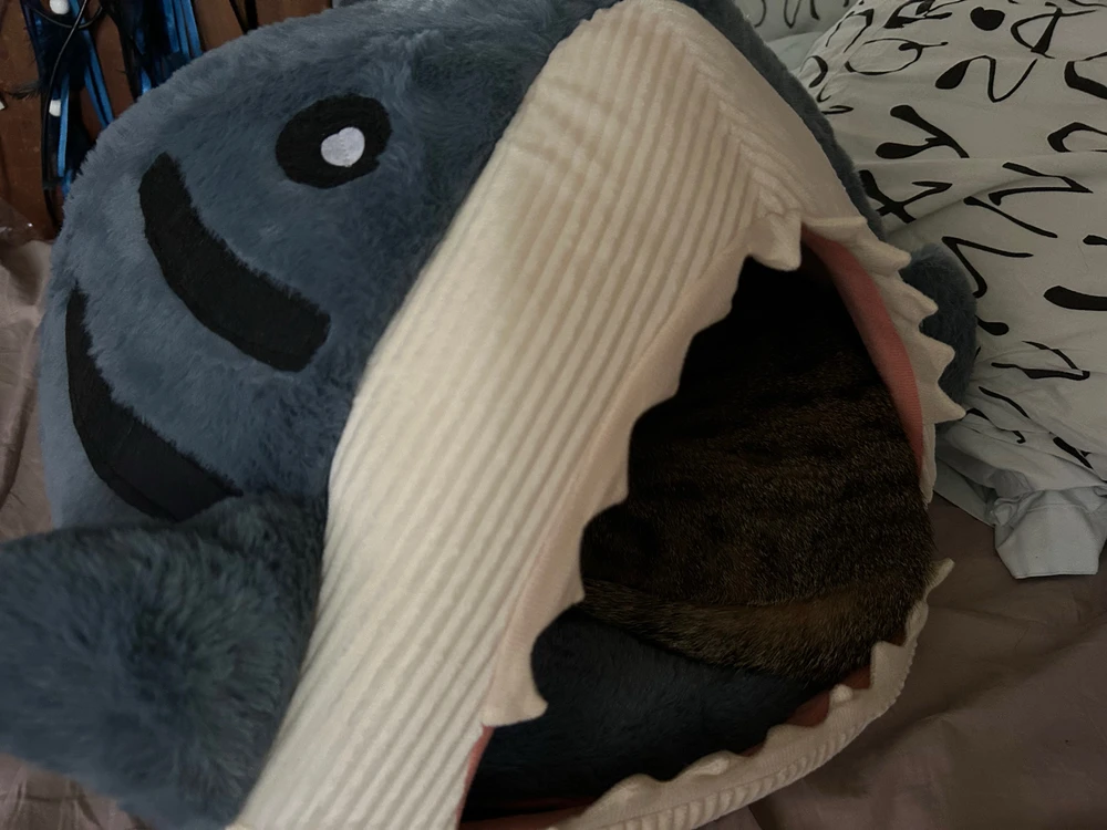 GIF ajouté par Benoît